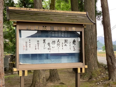 161EFCE2-7D10-42DA-A1ED-D468577F4AA7.jpeg