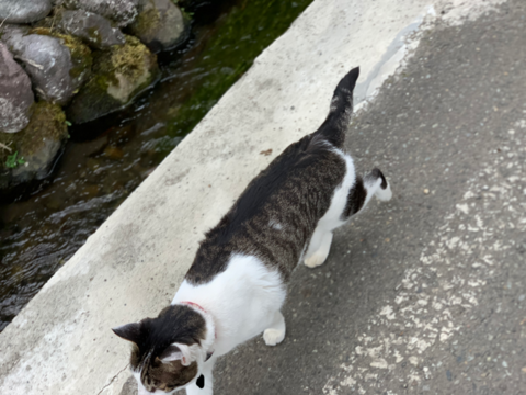 B64A9613-E75F-4735-B843-E825523CB07C.png