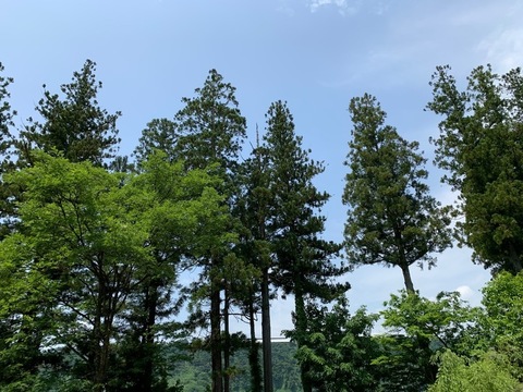 E64BD200-DF83-492F-8790-332B93509C86.jpeg